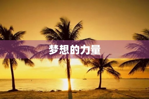 梦想的力量 梦想的力量
