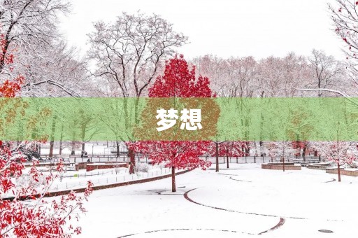 梦想,是每个人心中的希望。在我的梦想中,我希望成为一名医生,为更多需要帮助的人服务。 梦想,是每个人心中的希望。在我的梦想中,我希望成为一名医生,为更多需要帮助的人服务。