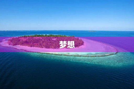 梦想，点亮未来之路