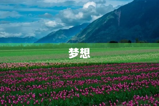 梦想,让我们飞翔 梦想,让我们飞翔