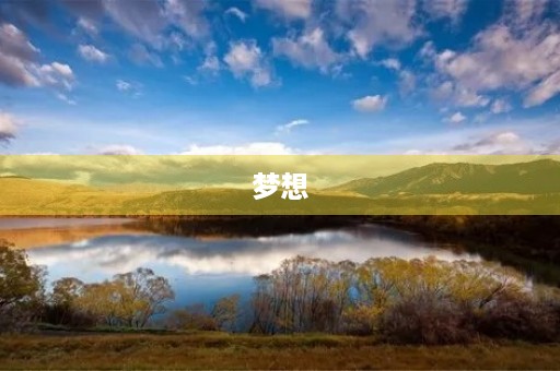 梦想，让未来更精彩