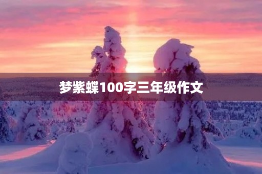 梦紫蝶100字三年级作文