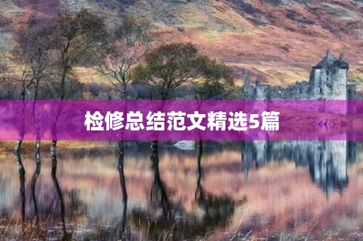检修总结范文精选5篇