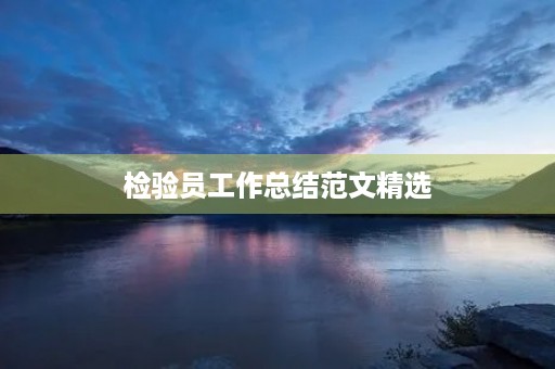 检验员工作总结范文精选