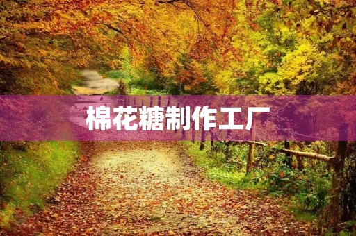 棉花糖制作工厂 棉花糖制作工厂
