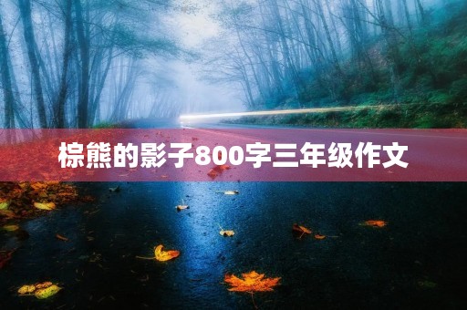 棕熊的影子800字三年级作文 棕熊的影子800字三年级作文