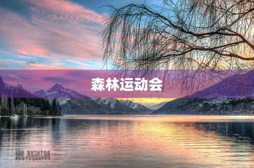 森林运动会 森林运动会
