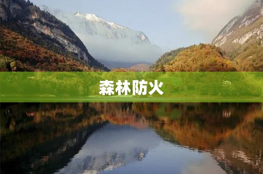 森林防火,我们每个人都是守护者 森林防火,我们每个人都是守护者