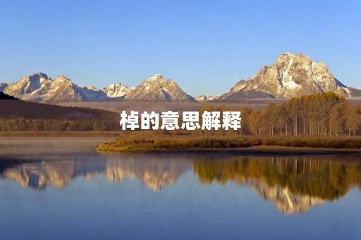 棹的意思解释(棹的拼音) 棹的意思解释(棹的拼音)