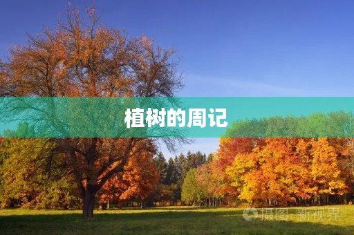 植树的周记