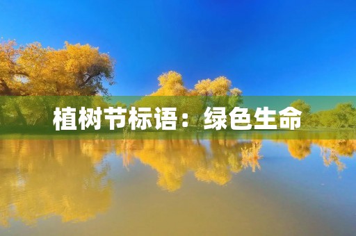 植树节标语:绿色生命,从每一片土地开始 植树节标语:绿色生命,从每一片土地开始