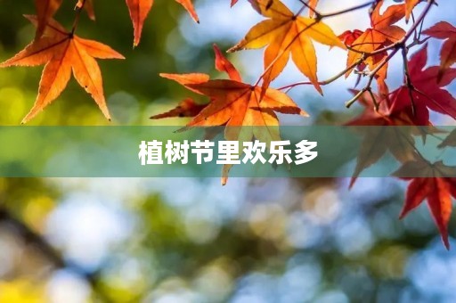 植树节里欢乐多