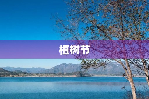 植树节，让我们共同守护绿色家园