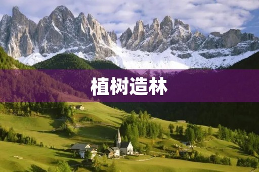 植树造林，共建美丽家园