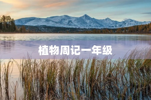 植物周记一年级