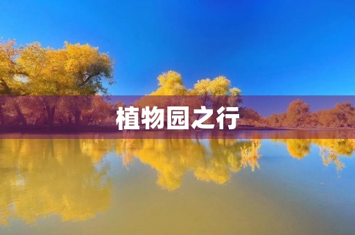 植物园之行,感悟自然之美 植物园之行,感悟自然之美