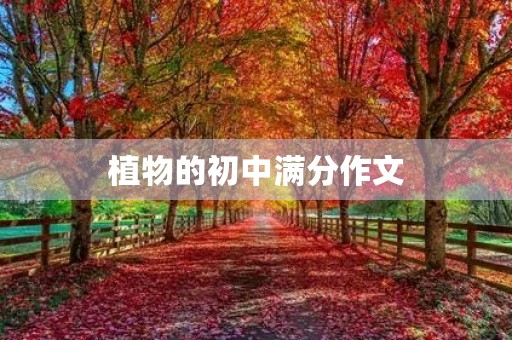 植物的初中满分作文