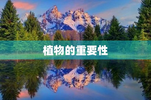 植物的重要性