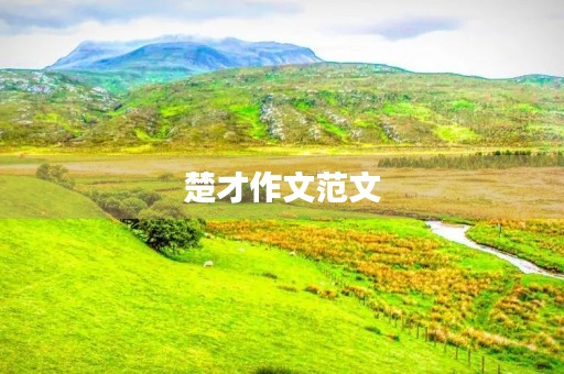 楚才作文范文
