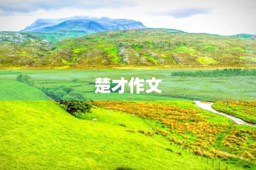 楚才作文,我的写作之路 楚才作文,我的写作之路