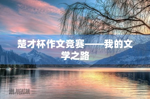 楚才杯作文竞赛——我的文学之路