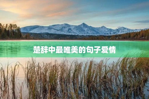 楚辞中最唯美的句子爱情(诗经中最浪漫的爱情句子) 楚辞中最唯美的句子爱情(诗经中最浪漫的爱情句子)