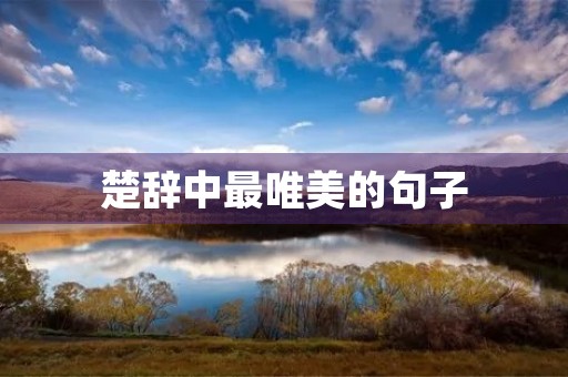 楚辞中最唯美的句子，楚辞中最唯美的句子爱情
