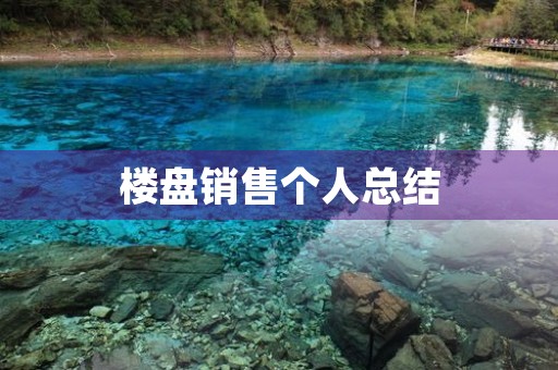 楼盘销售个人总结