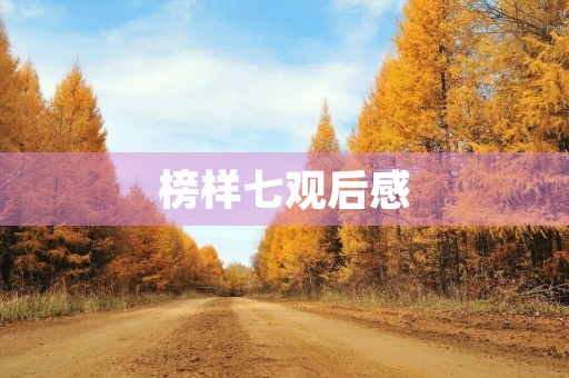 榜样七观后感