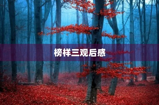 榜样三观后感 榜样三观后感
