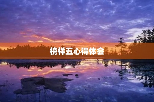 榜样五心得体会 榜样五心得体会