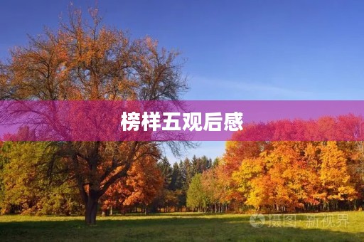 榜样五观后感