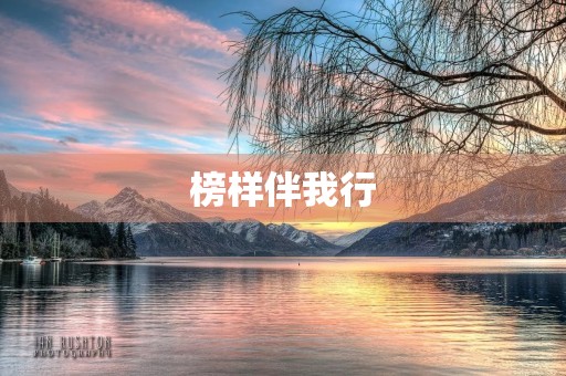 榜样伴我行