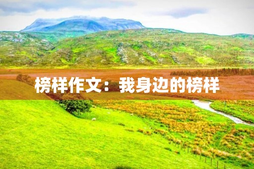 榜样作文：我身边的榜样