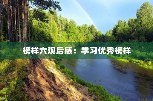 榜样六观后感：学习优秀榜样，树立正确的人生观