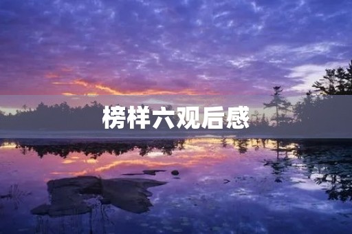 榜样六观后感