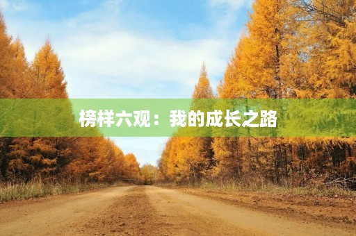 榜样六观：我的成长之路