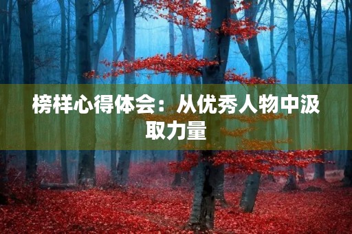 榜样心得体会:从优秀人物中汲取力量 榜样心得体会:从优秀人物中汲取力量