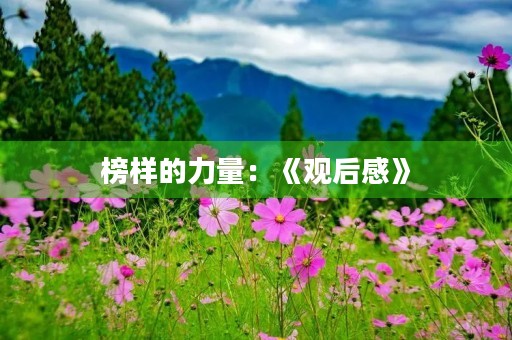 榜样的力量：《观后感》