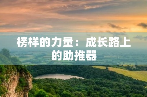 榜样的力量:成长路上的助推器 榜样的力量:成长路上的助推器