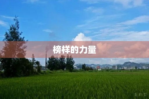 榜样的力量