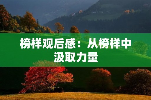 榜样观后感:从榜样中汲取力量 榜样观后感:从榜样中汲取力量