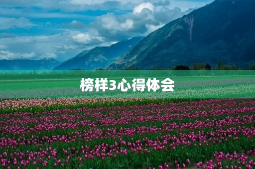 榜样3心得体会