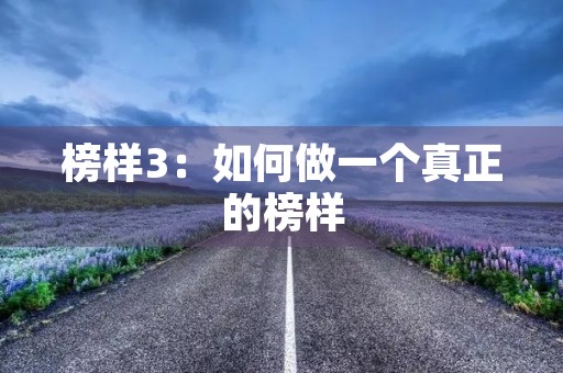 榜样3:如何做一个真正的榜样 榜样3:如何做一个真正的榜样
