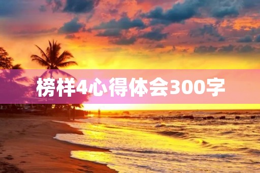 榜样4心得体会300字
