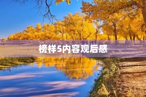 榜样5内容观后感