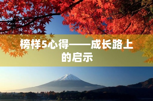榜样5心得——成长路上的启示