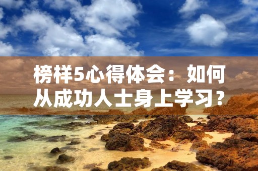 榜样5心得体会：如何从成功人士身上学习？