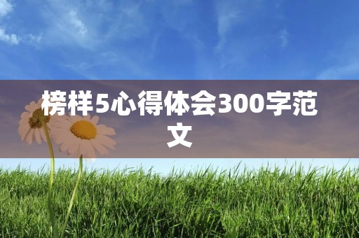 榜样5心得体会300字范文