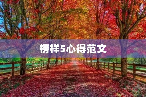榜样5心得范文